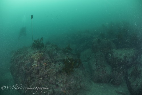 Ishibashi Underwater Complete_27