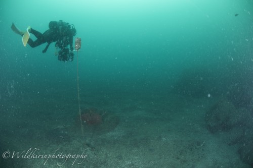 Ishibashi Underwater Complete_28
