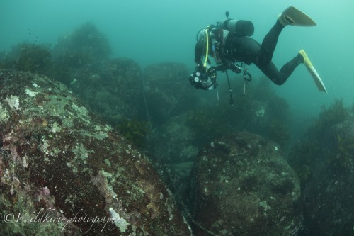 Ishibashi Underwater Complete_45