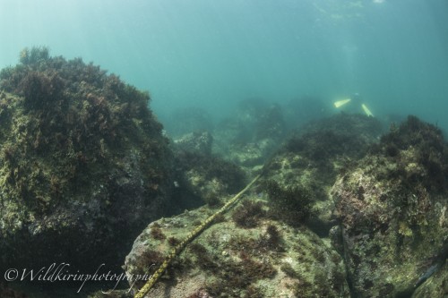 Ishibashi Underwater Complete_48