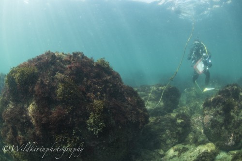 Ishibashi Underwater Complete_49