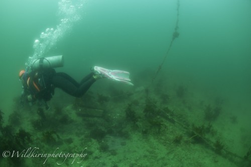 Jyougashima Underwater Complete_14