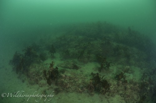 Jyougashima Underwater Complete_15