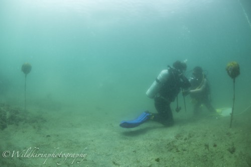 Jyougashima Underwater Complete_2
