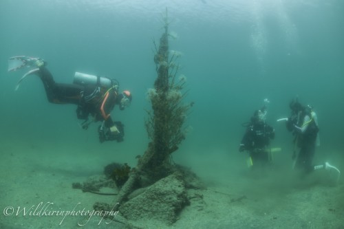 Jyougashima Underwater Complete_6