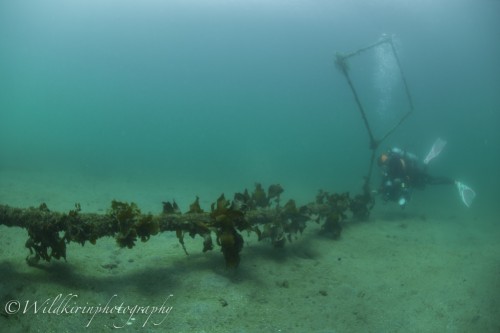 Jyougashima Underwater Complete_9