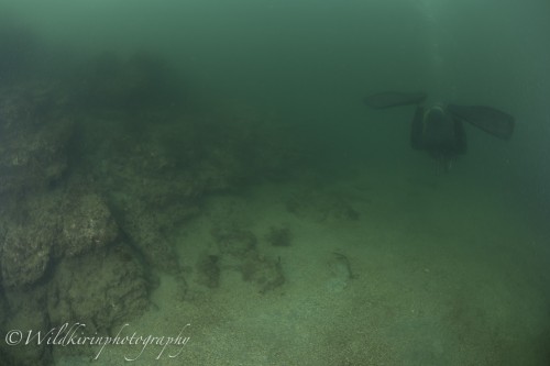Miura Underwater Complete_27