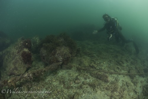 Miura Underwater Complete_32