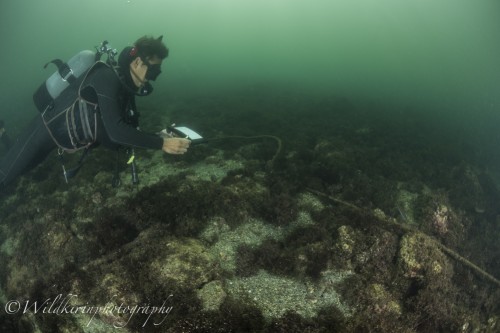 Miura Underwater Complete_34
