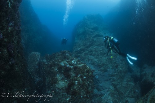 Kumomi Underwater Complete_157