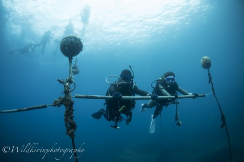 Kumomi Underwater Complete_159