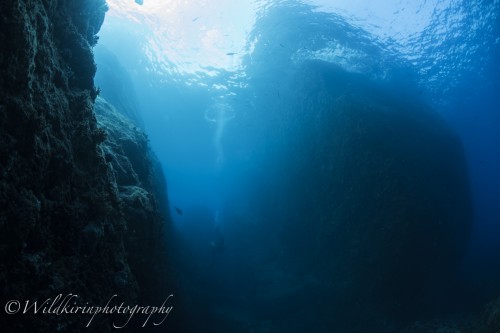 Kumomi Underwater Complete_219
