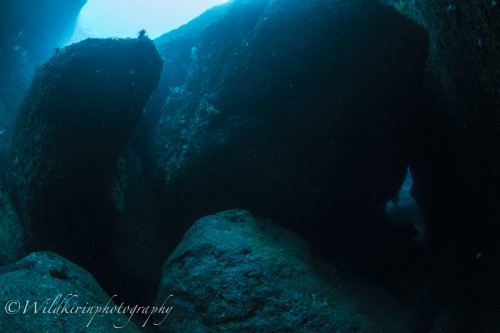 Kumomi Underwater Complete_30