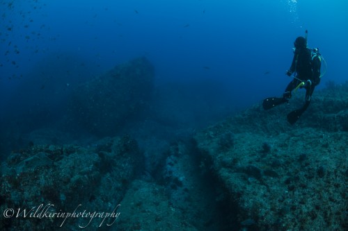 Kumomi Underwater Complete_50