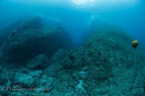 Kumomi Underwater Complete_9