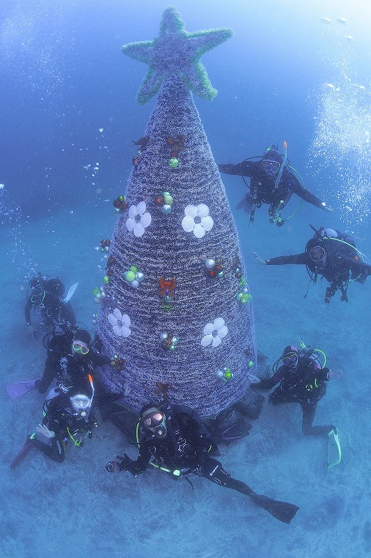 世界最大級の海中クリスマスツリー ダイバーたちが伊豆海洋公園にツリーを設置 ダイビングと海の総合サイト オーシャナ