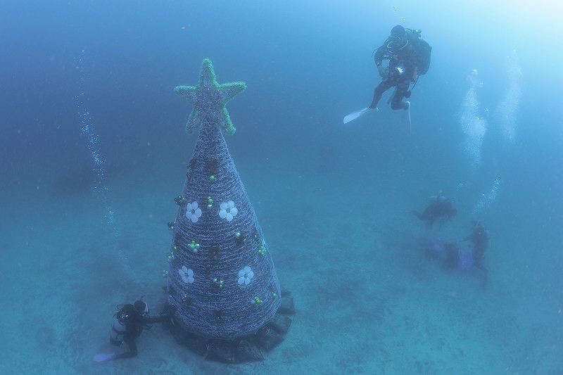 世界最大級の海中クリスマスツリー ダイバーたちが伊豆海洋公園にツリーを設置 ダイビングと海の総合サイト オーシャナ