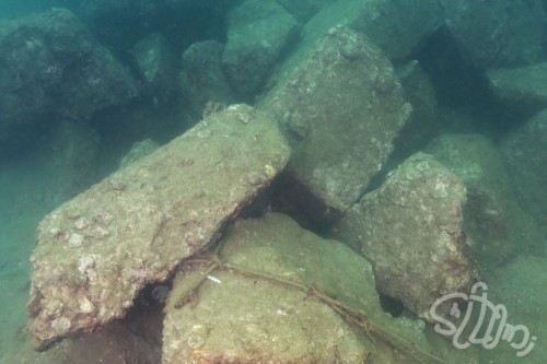BU9C0269