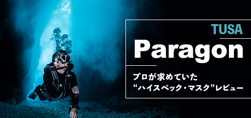 Paragon_banner_01