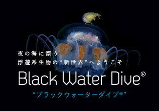 ブラックウォーターダイブ®～ナイトダイビングの新スタイル“Black Water Dive”～