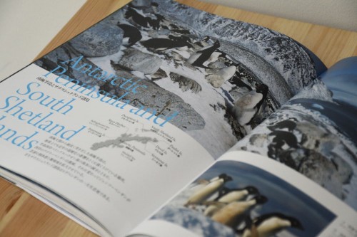 『世界で一番美しい ペンギン図鑑』水口博也さん