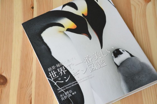 『世界で一番美しい ペンギン図鑑』水口博也さん