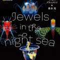 『Jewels in the night sea 神秘のプランクトン』峯水亮著