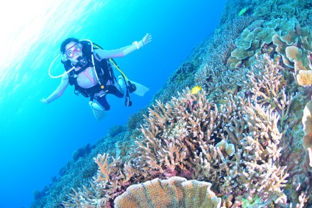 サンゴ礁も見事だった。「もっとすごいところもあるんですよ」とガイドの伊藤さん。次回はぜひ!