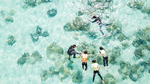 Diver take children to snorkeling, see under sea life