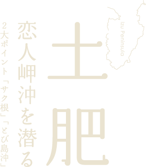土肥 恋人岬沖を潜る
