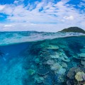 沖縄の原風景が広がる離島。伊平屋島のダイビングで見たサンゴは息をのむほど美しかった！
