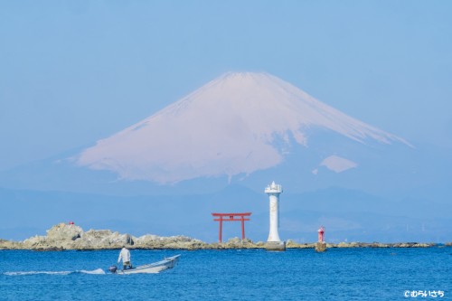 おすすめの陸の風景―裕次郎灯台と、森戸神社の鳥居越しの富士山!超絶景です!