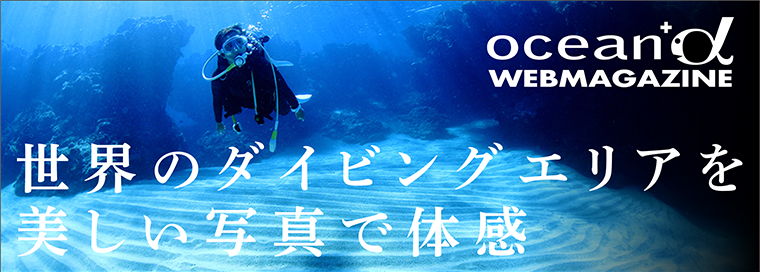世界のダイビングエリアを美しい写真で体感