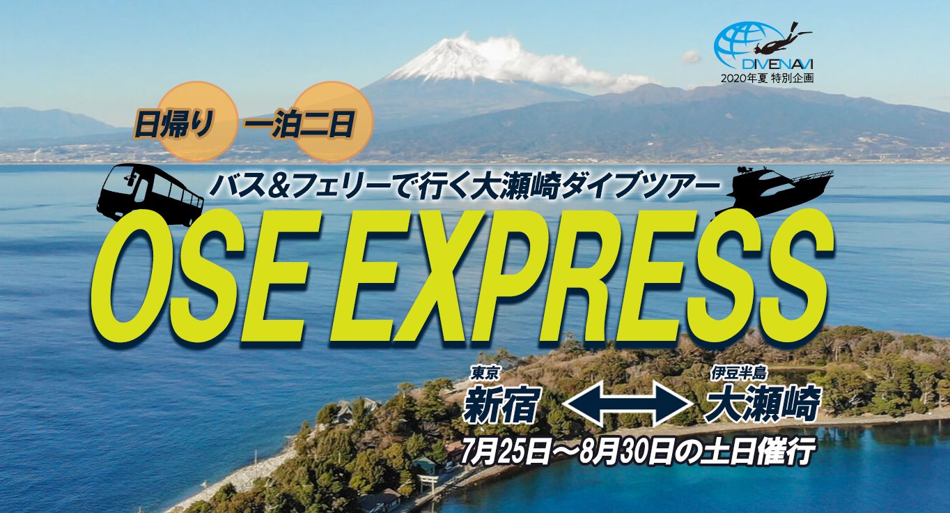 【7~8月限定】新宿発バスとフェリーで西伊豆・大瀬崎へGO！ダイビングツアー「OSE EXPRESS」メリット7つをご紹介！