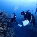 沖縄県恩納村でダイビング事業者向け「リーフチェック研修会」開催 -世界一サンゴにやさしい村の実現に向けて-