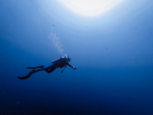 水深1mで生きた化石 シーラカンスを撮影 海洋生物学者ローラン バレスタ氏インタビュー ダイビングと海の総合サイト オーシャナ