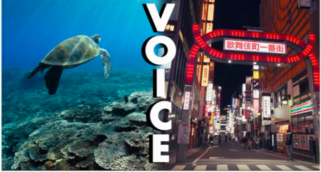 関戸紀倫,VOICE