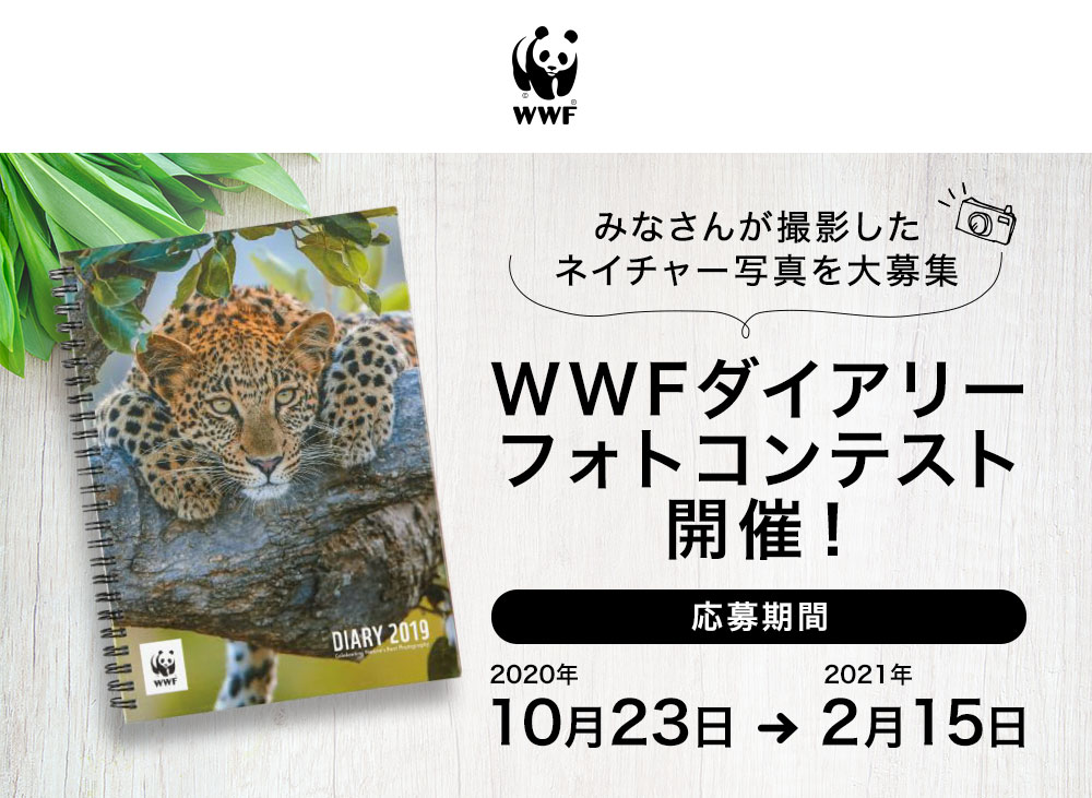 【絶賛開催中】第一回 WWFダイアリーフォトコンテスト