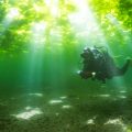 桜島を望む冬の鹿児島ダイビングは、360度グリーンな海藻ワールドだった!?