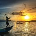 持続可能な漁業を目指すサステナブル・シーフードとは？