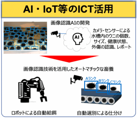 ウニノミクス社のAIロボットを用いたウニ畜養システム