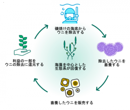 ウニノミクス