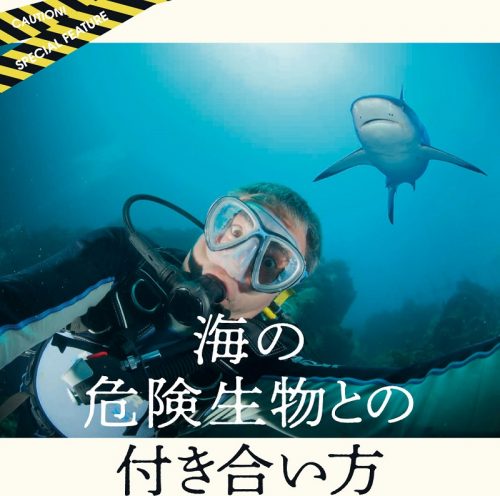 海の危険生物との付き合い方