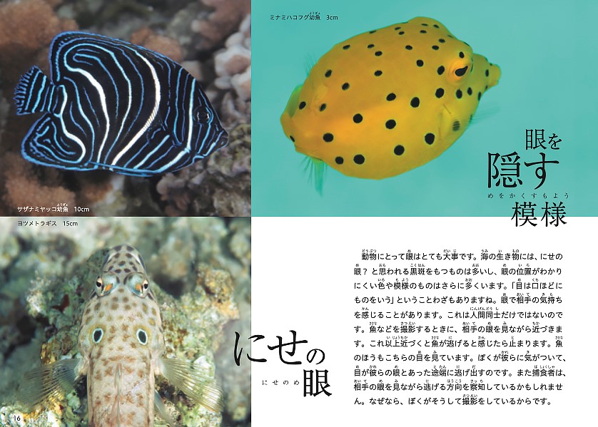 海洋写真家・吉野雄輔さん著「どうしてそうなった⁉海の生き物①」