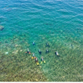 サンゴ保全、ダイバー向け“環境を学ぶコース”がグリーン・フィンズで開始！
