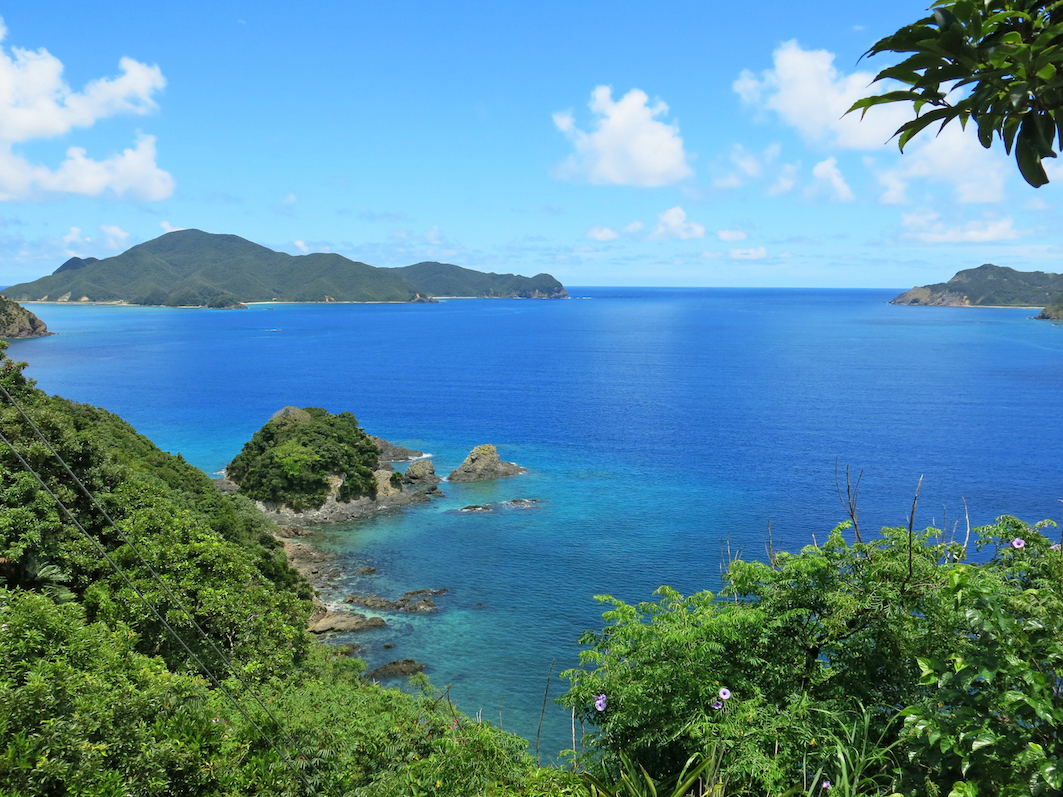 【速報】奄美・沖縄が世界自然遺産に！日本としては5件目の登録