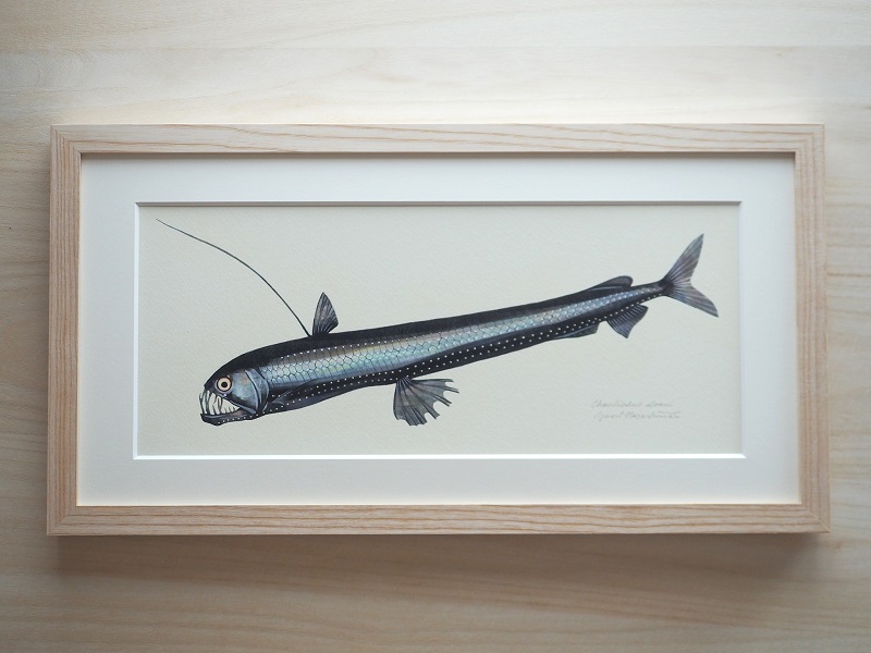 長嶋祐成さんの深海魚作品展「あやなし、海の闇」