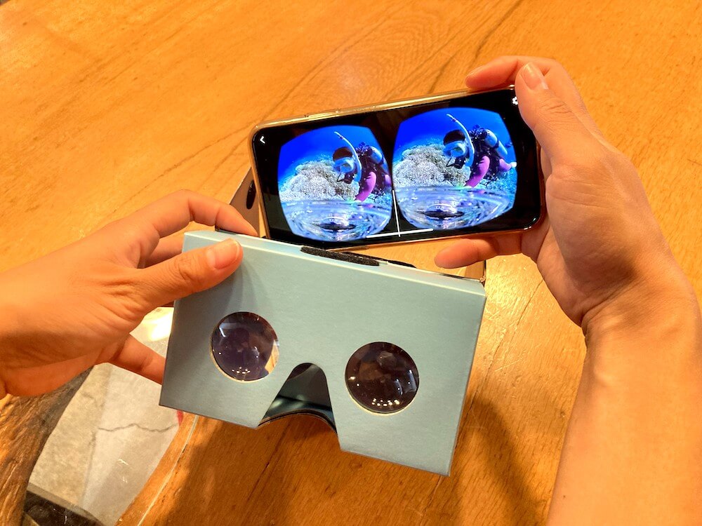 水中VR動画