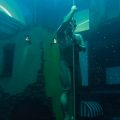 DeepdiveDubai（ディープダイブドバイ）体験記 日本人初！世界一深いプールで素潜りした男
