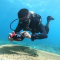 写真家の声を集約！Reef-Worldが発表した水中撮影の新ガイドラインをチェック